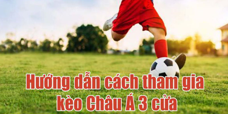 Cách đặt cược 3 chiều trong kèo châu Á